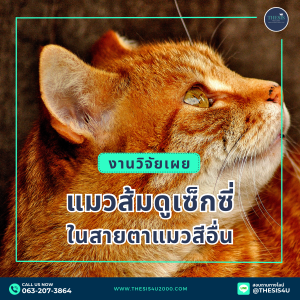 วิจัยเผย : แมวส้มดูเซ็กซี่ในสายตาแมวสีอื่น